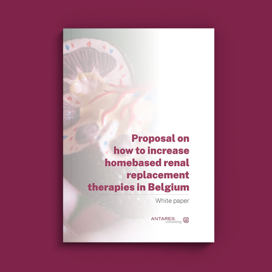 Proposal on how to increase homebased renal replacement therapies in Belgium-Cover New